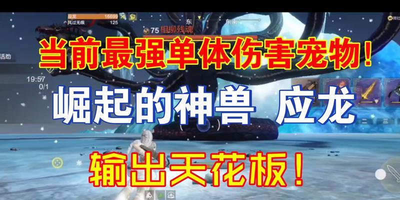 妄想山海应龙刷新位置大揭秘（游戏攻略丨如何寻找妄想山海应龙刷新位置）